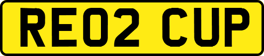 RE02CUP
