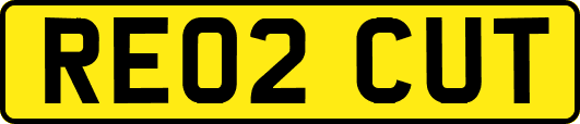 RE02CUT