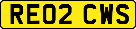 RE02CWS