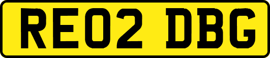 RE02DBG