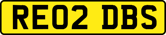 RE02DBS