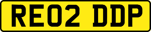 RE02DDP