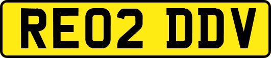 RE02DDV