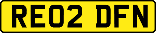 RE02DFN