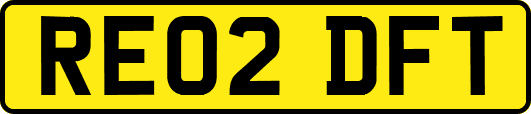 RE02DFT