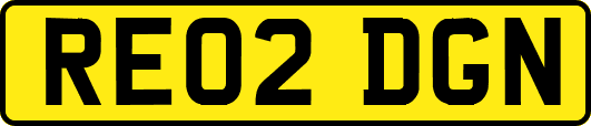 RE02DGN