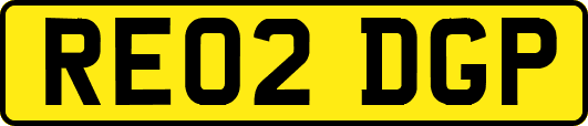 RE02DGP
