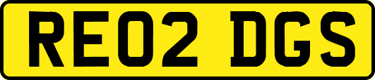 RE02DGS