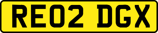RE02DGX