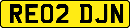 RE02DJN