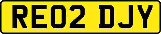 RE02DJY