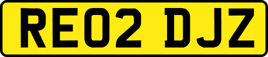 RE02DJZ