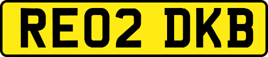 RE02DKB