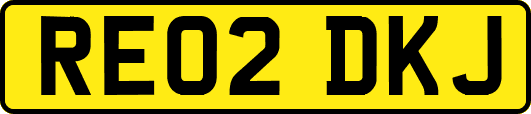 RE02DKJ