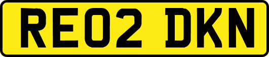 RE02DKN