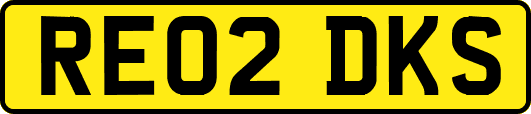 RE02DKS