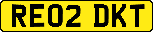 RE02DKT