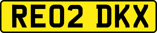 RE02DKX
