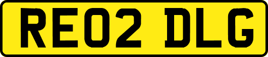 RE02DLG