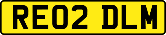 RE02DLM
