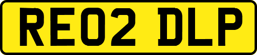 RE02DLP