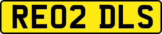 RE02DLS