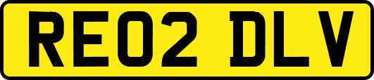 RE02DLV
