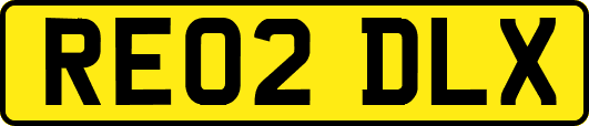 RE02DLX