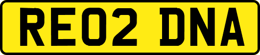 RE02DNA