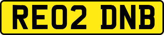 RE02DNB