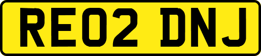 RE02DNJ