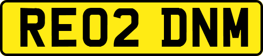RE02DNM