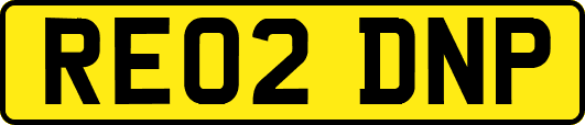 RE02DNP