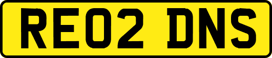 RE02DNS