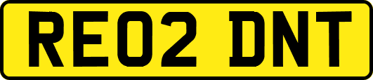 RE02DNT