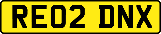 RE02DNX