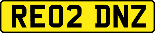 RE02DNZ