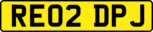 RE02DPJ