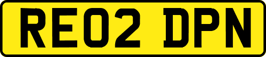 RE02DPN