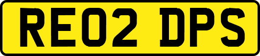RE02DPS