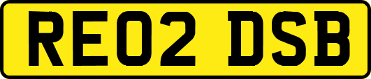 RE02DSB