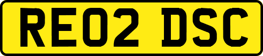 RE02DSC