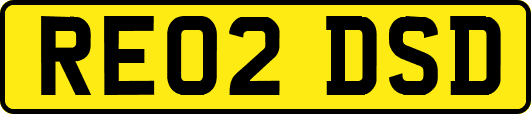 RE02DSD