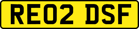 RE02DSF