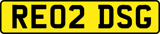 RE02DSG