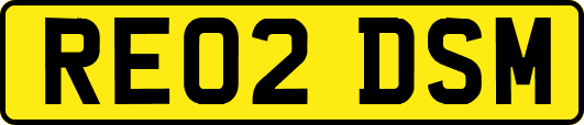 RE02DSM