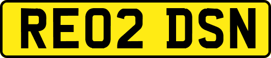 RE02DSN