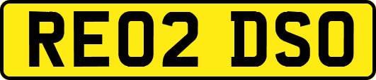 RE02DSO