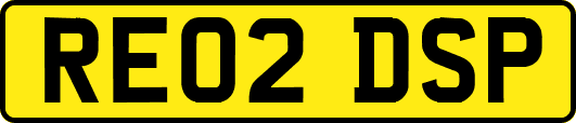 RE02DSP