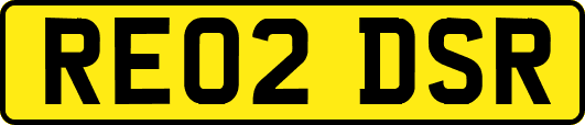 RE02DSR